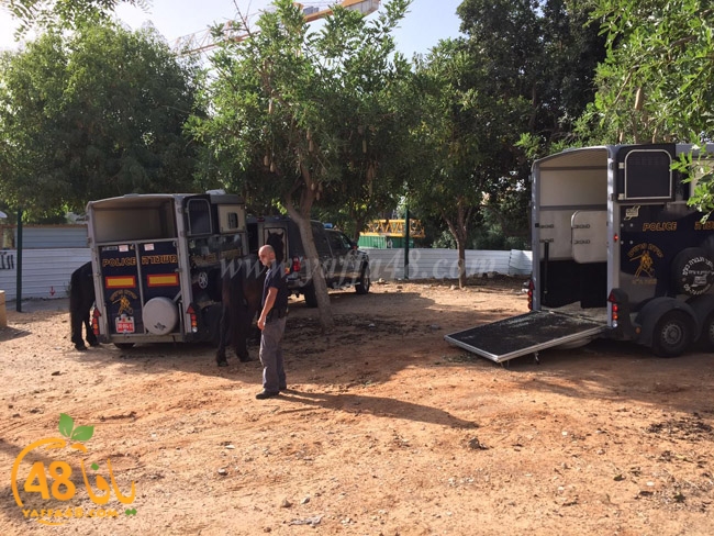 yamen td yaffa j (3).jpg